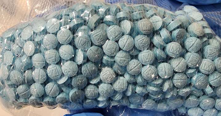 Australia crime news: NSW and WA Police bust $60 million drug syndicate in Strike Force Bloomfield