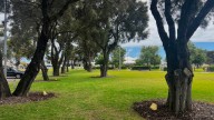 Avenue of Honour completed in time for Remembrance Day at City of Mandurah War Memorial