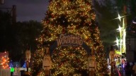 Immerse yourself in a tropical world of thrills and holiday cheer at Christmas Wonderland 