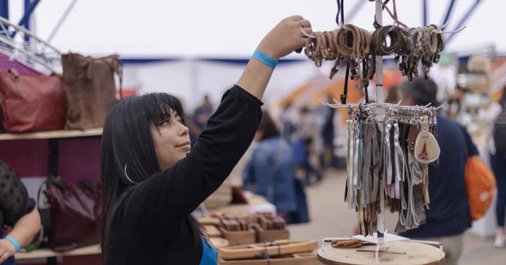 Chile Emprende: El nuevo buscador de programas de fomento, subsidios y concursos para pymes y cooperativas