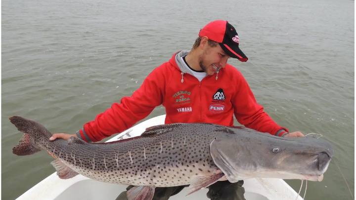En Entre Ríos rige la veda para la pesca de surubí hasta el 15 de marzo de 2026
