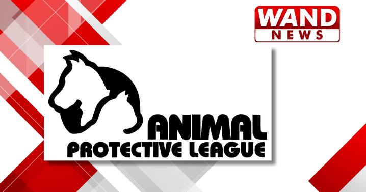 Let there be light: APL to host annual Tree of Lights festivities