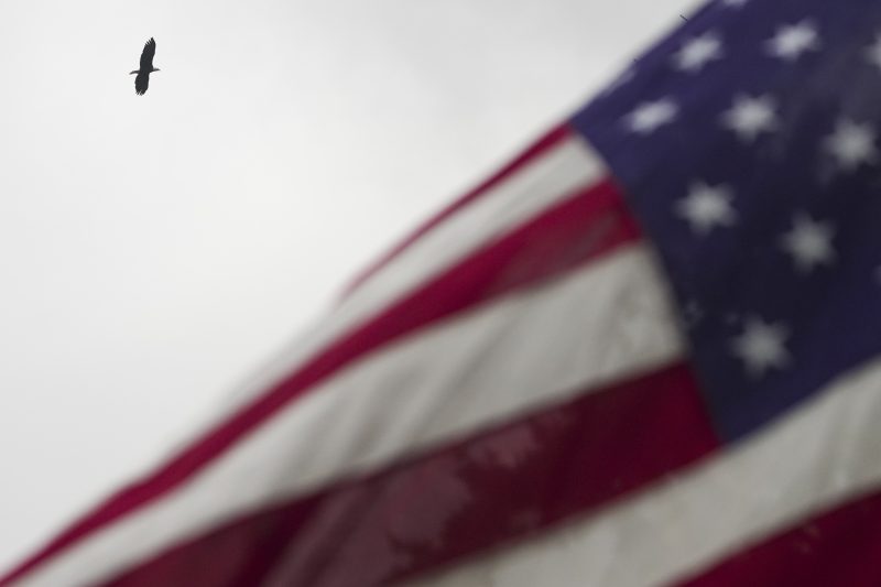 Veterans Day 2025 deals and freebies