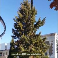 Yakima seeks nominations for community Christmas tree centerpiece
