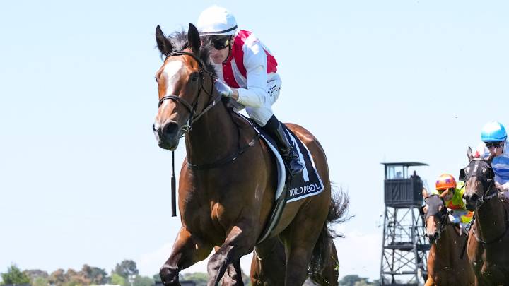 This 'soft' win created a red-hot favourite in $1m Oaks