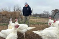Turkey shortages push Thanksgiving costs higher nationwide