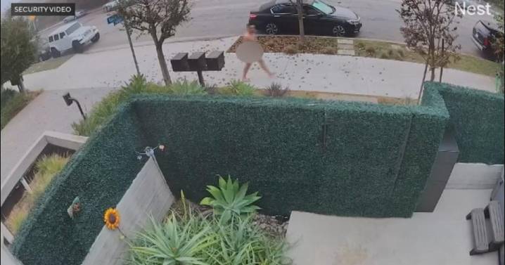 Naked trespasser shot and killed after attacking Studio City residents