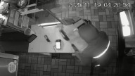 Burglars hit businesses all over Chicago in crime spree