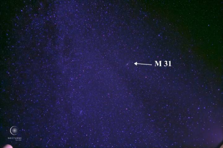 What’s up in the sky for November 2025? Leonid meteor shower, full hunter supermoon