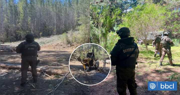 Carabineros mantiene intenso operativo en Contulmo tras atentado incendiario: reportan un detenido