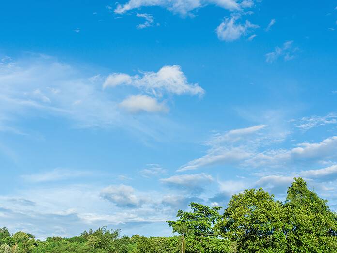 11/12/25: Clear Sky and 65°F in Dickson County