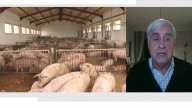 El veterinario Juan José Badiola advierte que la peste porcina es un virus muy letal: "El problema es que no hay vacunas"