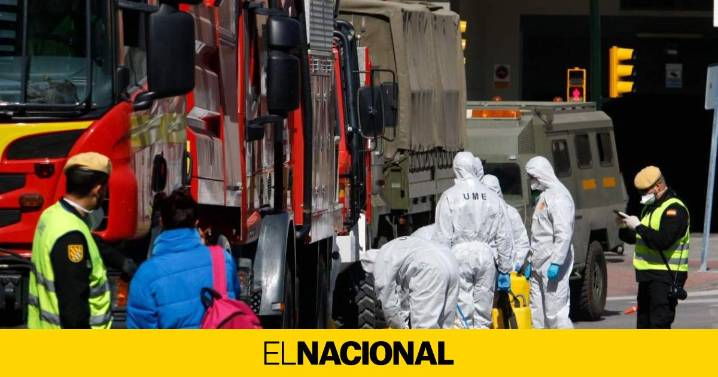 ¿Qué papel tendrá la UME del ejército español en la crisis de la peste porcina africana en Collserola?