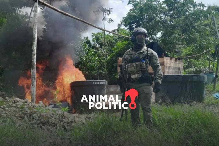 Exmilitares colombianos alertan sobre avance del narco por fin de intercambio en inteligencia con EU