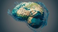 Una investigación desvela cómo decide el cerebro qué recordar