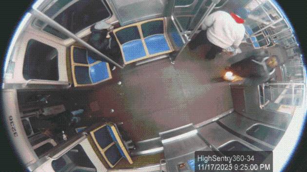 Man faces terrorism charge for allegedly setting woman on fire on Chicago L train: DOJ