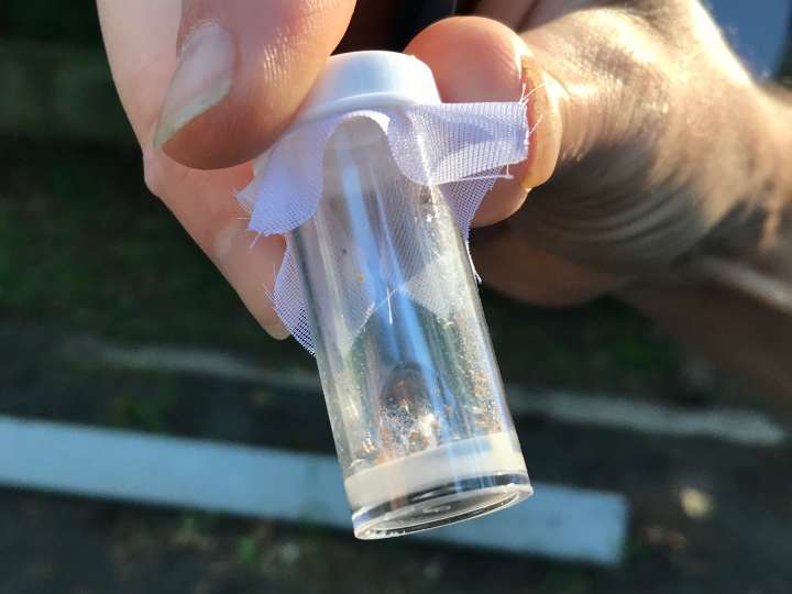 First death from tick-caused meat allergy reported in New Jersey man