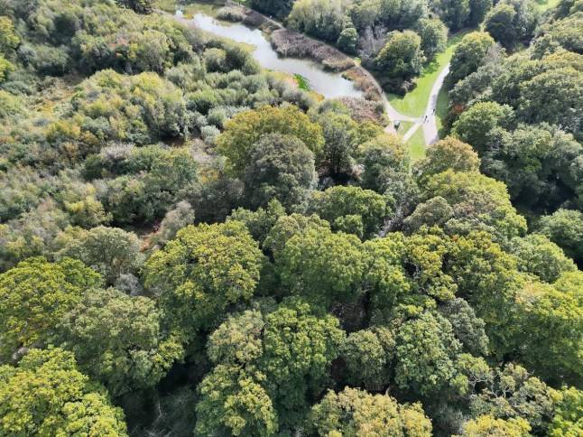 ‘Someone knows what happened in those woods’ Detectives offer £20,000 in hunt for killer of Ernest Konrad Deputat