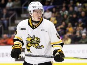 Sarnia Sting settle for one point in overtime loss to Barrie Colts