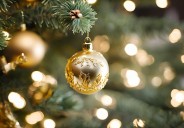 Regresa el Festival de los Árboles en Indy