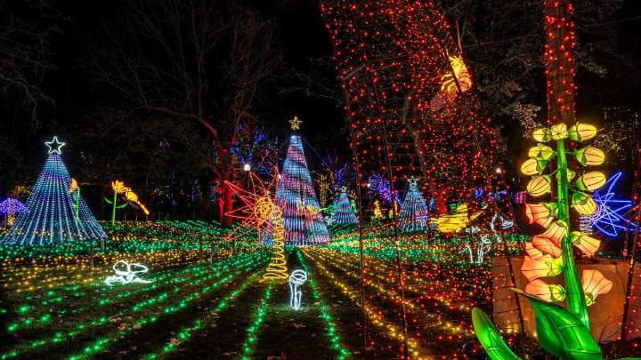 Lincoln Park ZooLights, Morton Illumination tickets on sale