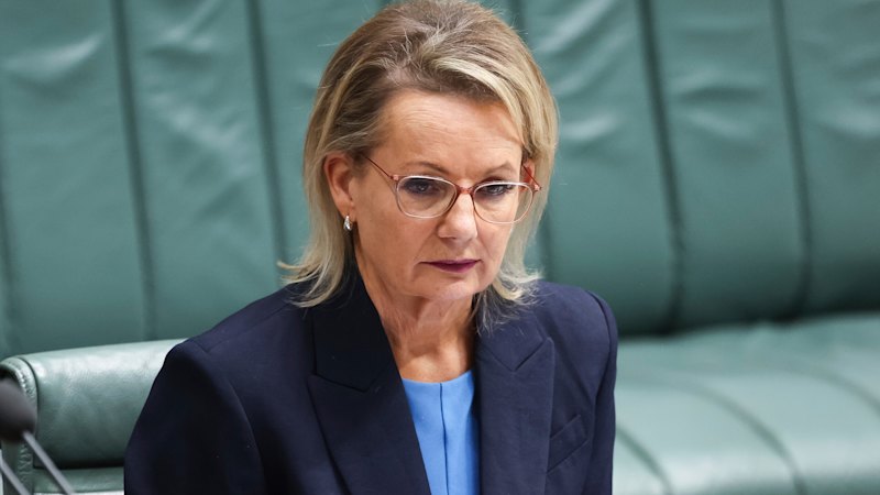 Priya’s Bill: Sussan Ley criticises Coalition MPs for raising abortion concerns during debate