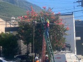 Avanza Monterrey con retiro de cableado en desuso