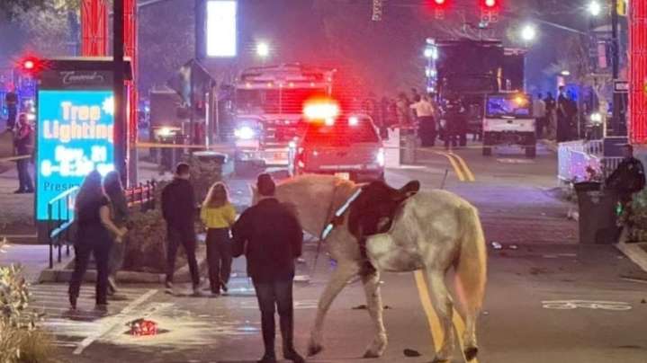Tiroteo en encendido de árbol navideño deja varios heridos en Carolina del Norte, EEUU