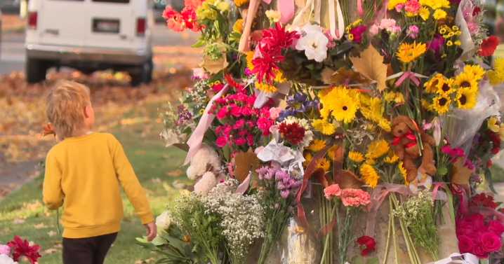 Saturday candlelight vigils to honor child killed in Harrison Boulevard crash