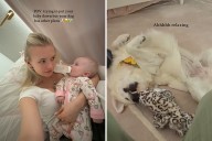 Mom Tries To Calm Baby Before Bed, Then Golden Retriever Gets Involved