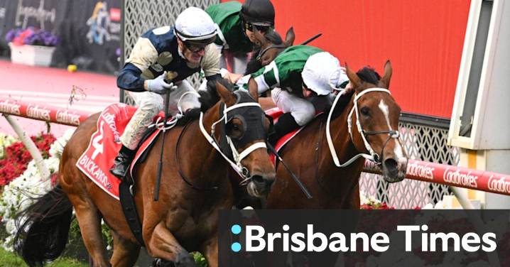 Melbourne Cup 2025 horse-by-horse guide: Odds, tips and expert analysis on each of the horses running in this year’s cup – winning chances, roughies and best bets