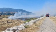 Incendio forestal consumió alrededor de 500 metros de pastizales en la comuna de Quillota