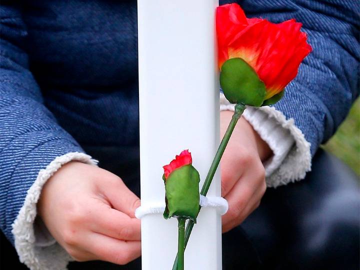 Calgary Sun Letters to the Editor, Nov. 9, 2025: 'Lest we forget'