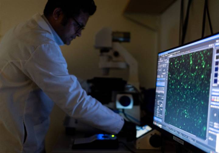 There are more than 100 autoimmune diseases, and they mostly strike women. Here's what to know