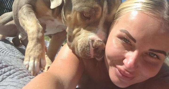 Mum who ran illegal dog boarding scheme now offering £25 day care