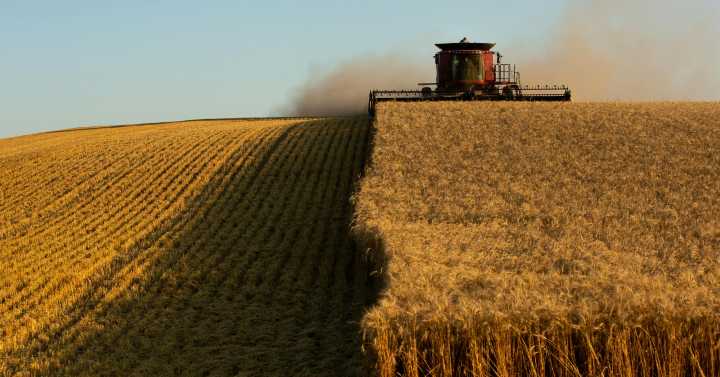 Prediction markets are 21st century futures markets