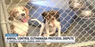 Former Animal Control Officer speaks out over a proposed “mass euthanasia,” county officials dispute