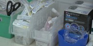 Tx Panhandle doctor explains state uptick in whooping cough cases