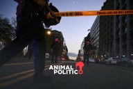 Balean a dos guardias nacionales cerca de la Casa Blanca en Washington; Trump acusa "acto de terror"