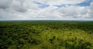COP30 en la amazonía brasileña: Chile inicia su participación con agenda enfocada en mercados de carbono y género