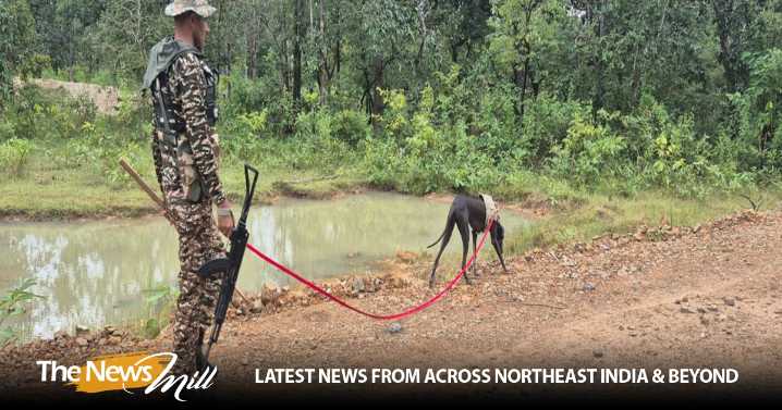 “PM Modi’s vision promoted Indian breeds like Dipsy”: CRPF hails canine’s IED detection skills and endurance