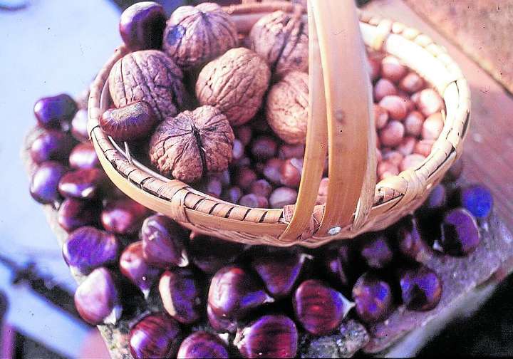 Castañas y nueces, frutos secos del otoño con interesantes propiedades