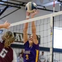 NYSPHSAA GIRLS VOLLEYBALL: York blows past Ellicottville to advance to 'D' semis