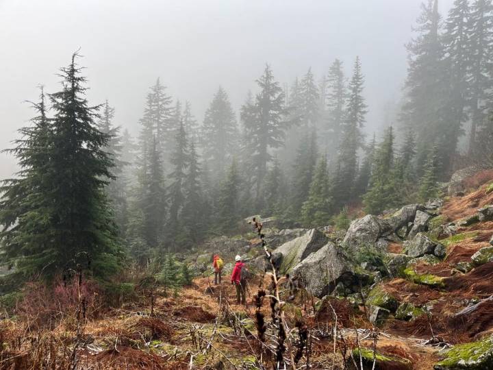 NSR stops search for missing 84-year-old man at Grouse Mountain