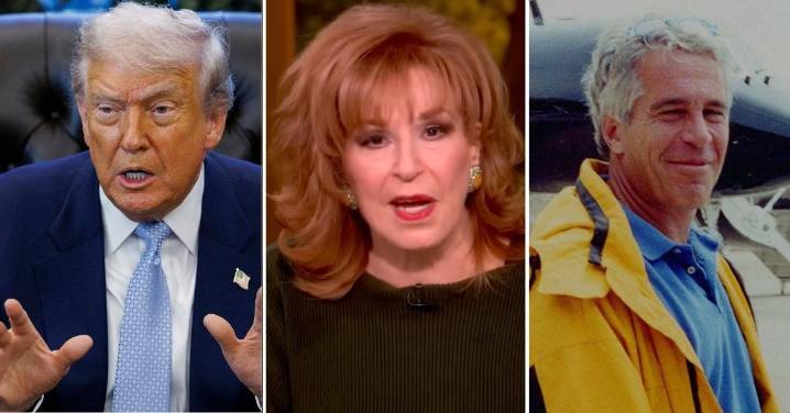 Joy Behar Jokes Donald Trump Will Lie and Say the 'Dog Ate My Homework' If Jeffrey Epstein Files Ever Come Across His Desk