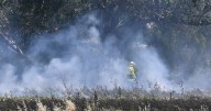 Fire crews extinguish grassfire burning on edge of Tamworth CBD