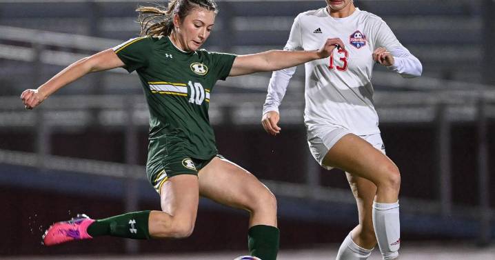 8 local teams advance to PIAA soccer/volleyball tournaments