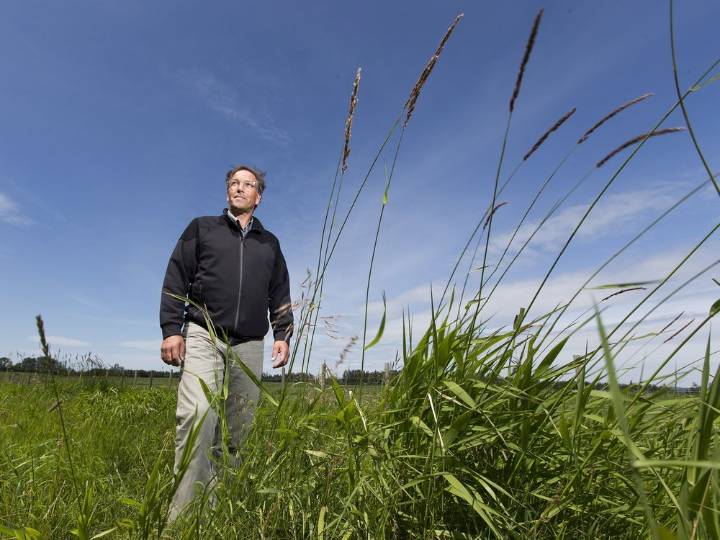 Edmonton area municipal leaders eager to resume regional collaboration