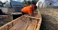 Canoe building: Fredericton friendship centre leads workshop