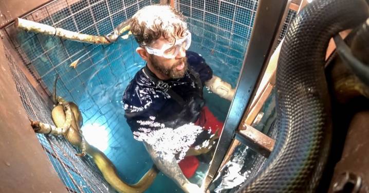 I'm a Celebrity star Jack Osbourne sparks 'stress' amongst viewers in 'scary' mission